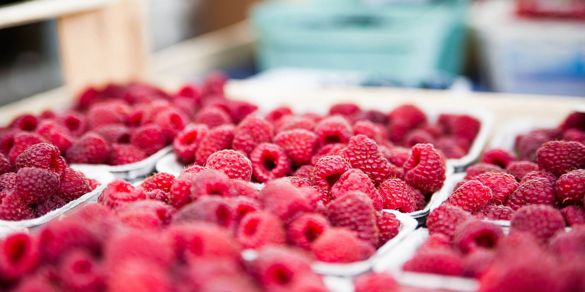 raspberries-422979_1920