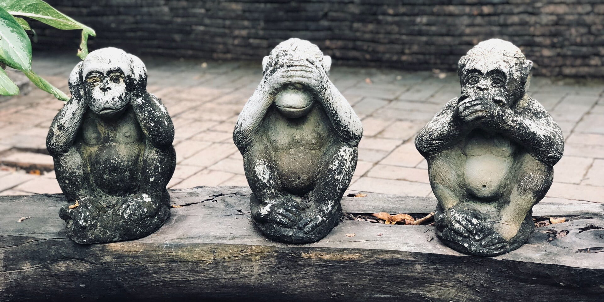 The three monkeys