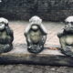 The three monkeys