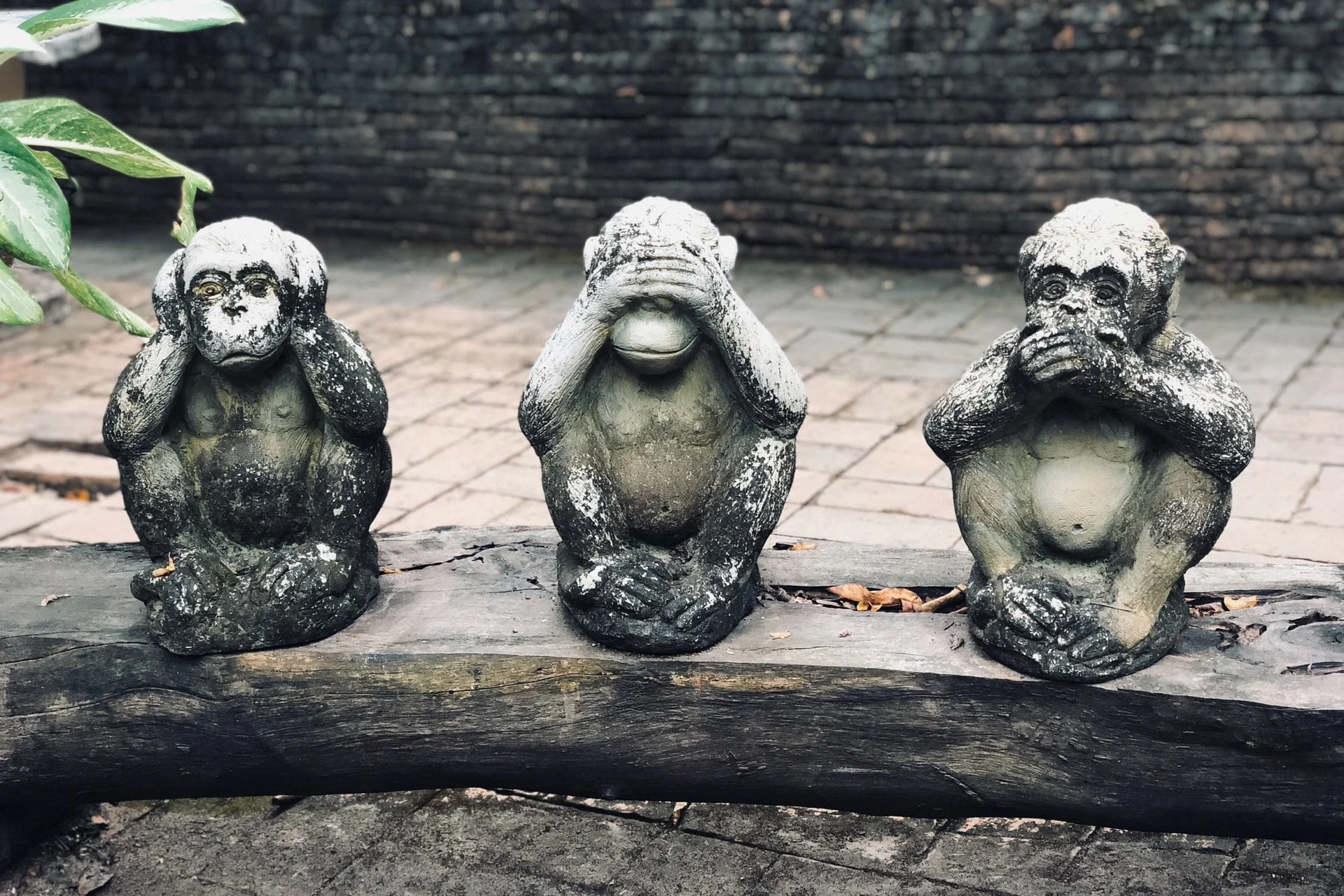 The three monkeys