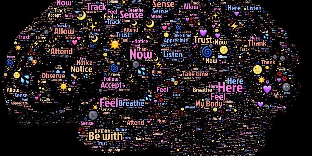 brain-998996_1280w-reduced Image by John Hain from Pixabay