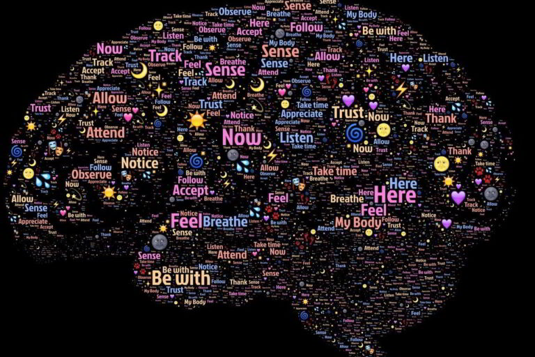 brain-998996_1280w-reduced Image by John Hain from Pixabay
